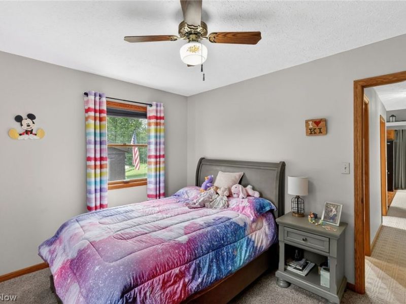 10031 Sanford Road, Lodi, OH 44254 Photo 32