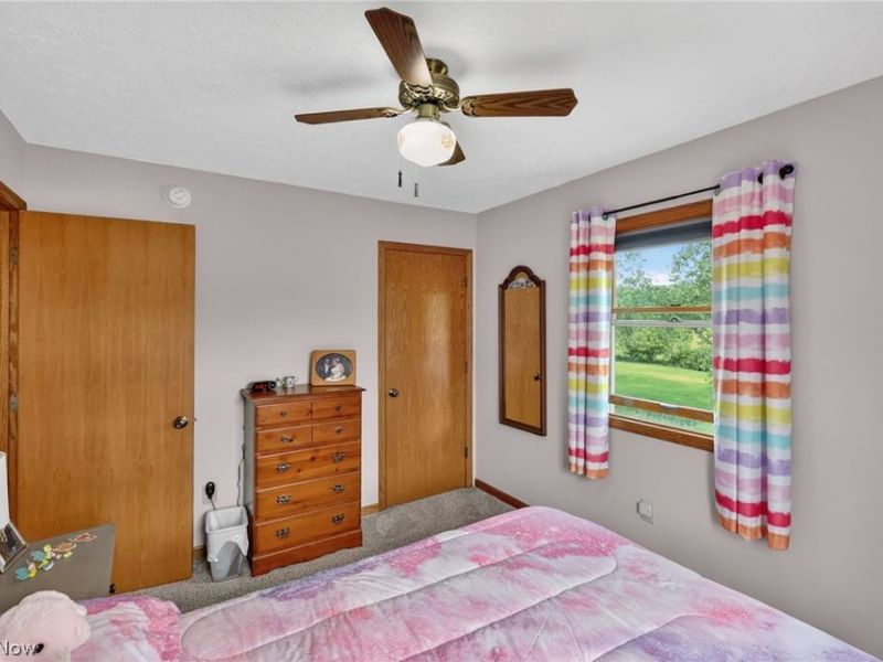 10031 Sanford Road, Lodi, OH 44254 Photo 33