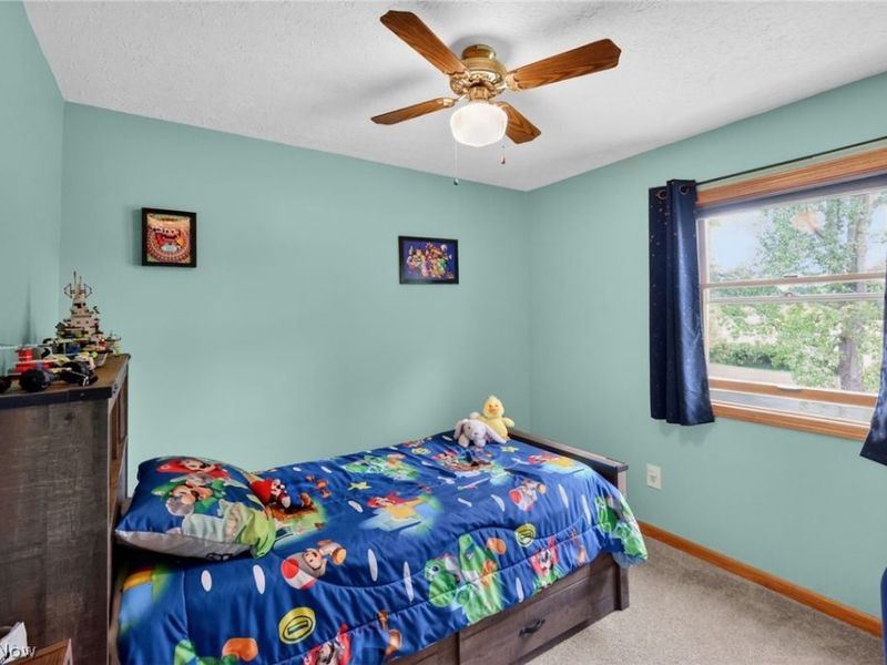 10031 Sanford Road, Lodi, OH 44254 Photo 34