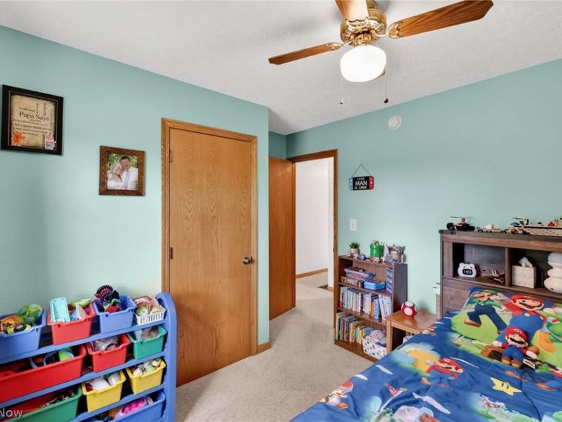 10031 Sanford Road, Lodi, OH 44254 Photo 35