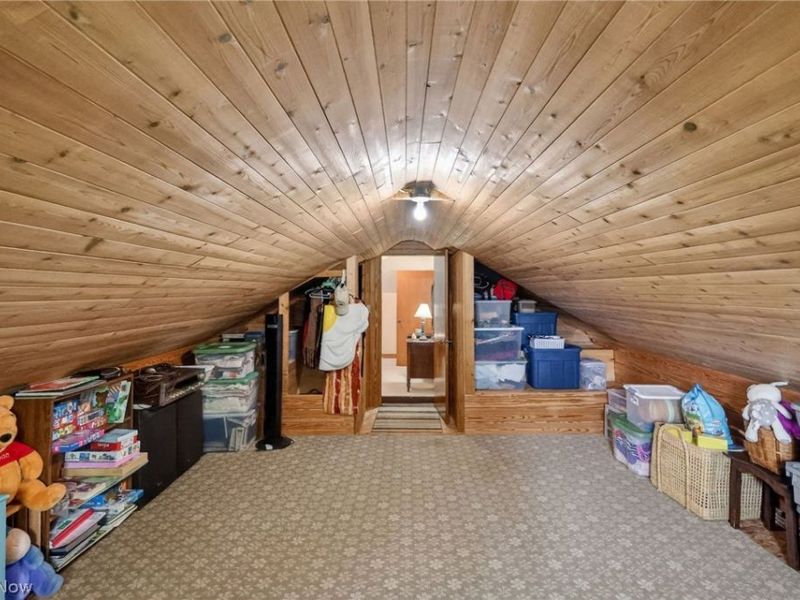 10031 Sanford Road, Lodi, OH 44254 Photo 39