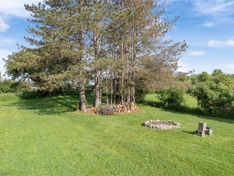 10031 Sanford Road, Lodi, OH 44254 Photo 9