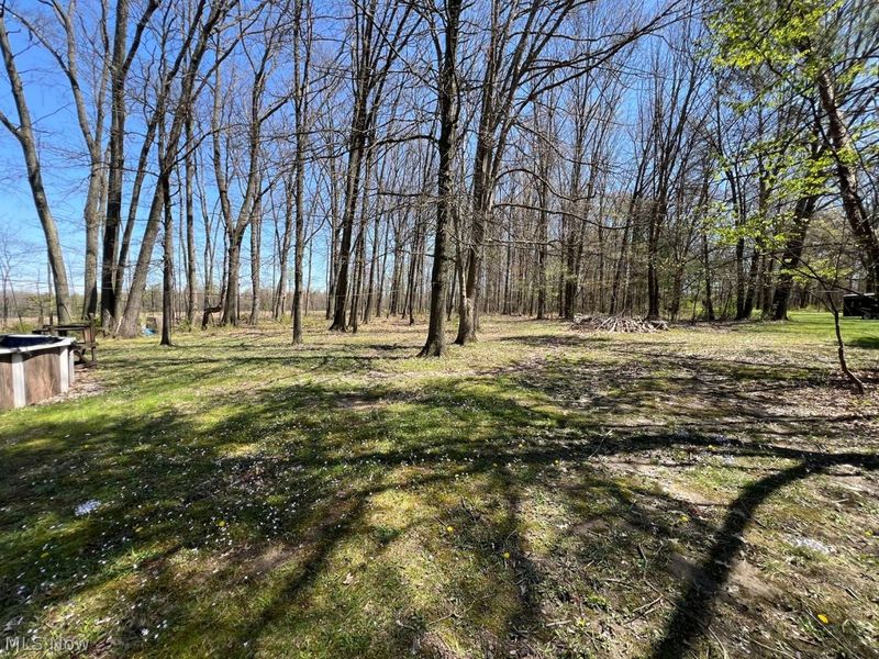 341 Benton Avenue, Youngstown, OH 44515 Photo 7
