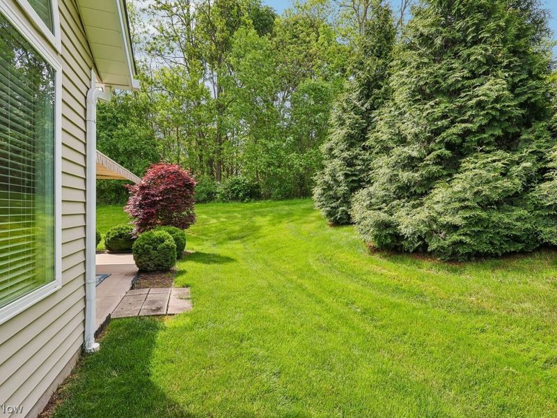 1180 Briarcliff Drive, Akron, OH 44312 Photo 28