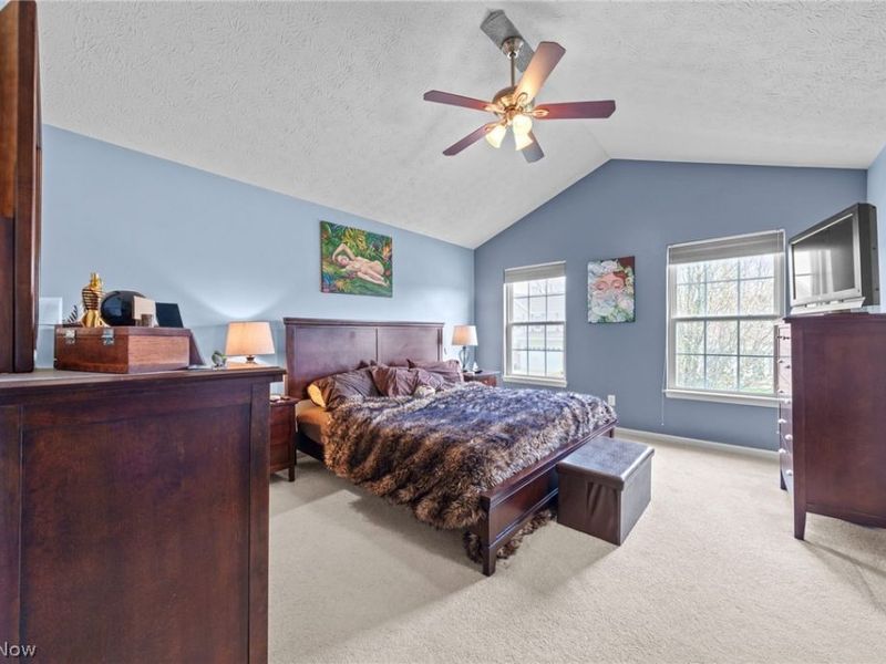 7756 Willow Lane , Macedonia, OH 44056 Photo 29