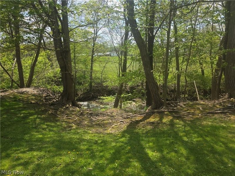 Swine Creek Road, Middlefield, OH 44062 Photo 15