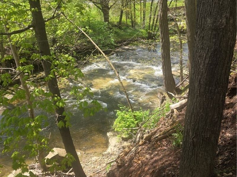 Swine Creek Road, Middlefield, OH 44062 Photo 9