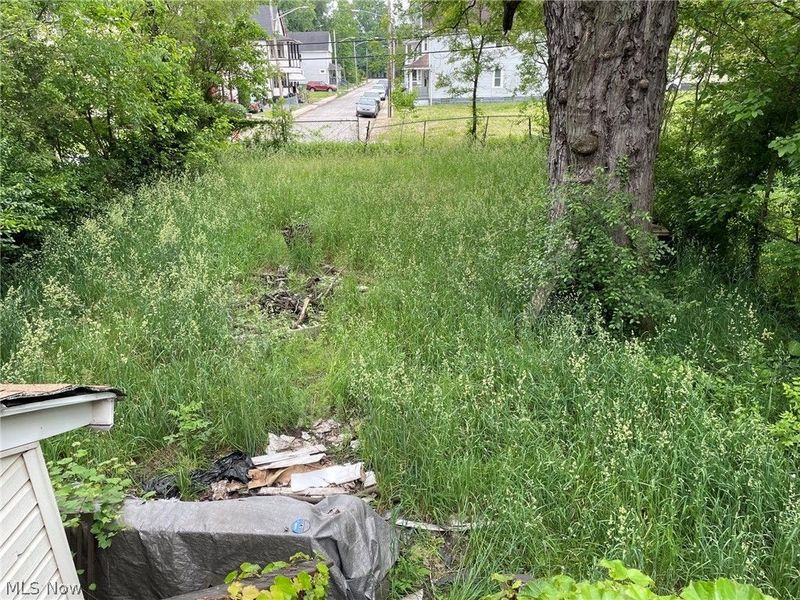 8018 Platt Avenue, Cleveland, OH 44104 Photo 6