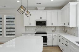 4841 Lecque Street photo 4