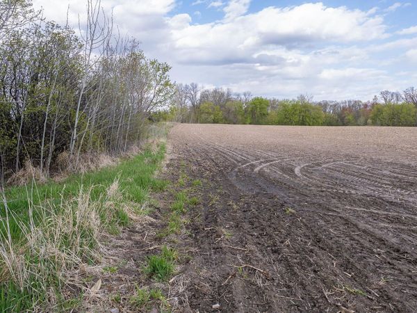 Parcel A - 20AC 465th Street , Sunrise Twp, MN 55032