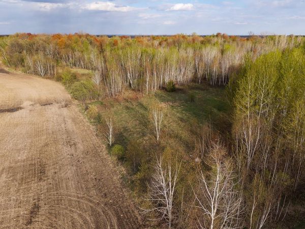 TBD-38AC 465th Street, Sunrise Twp, MN 55032