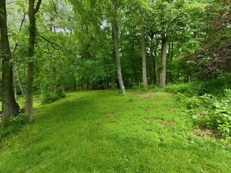 3534 Constitution Court, Green Township, OH 45248 Photo 34