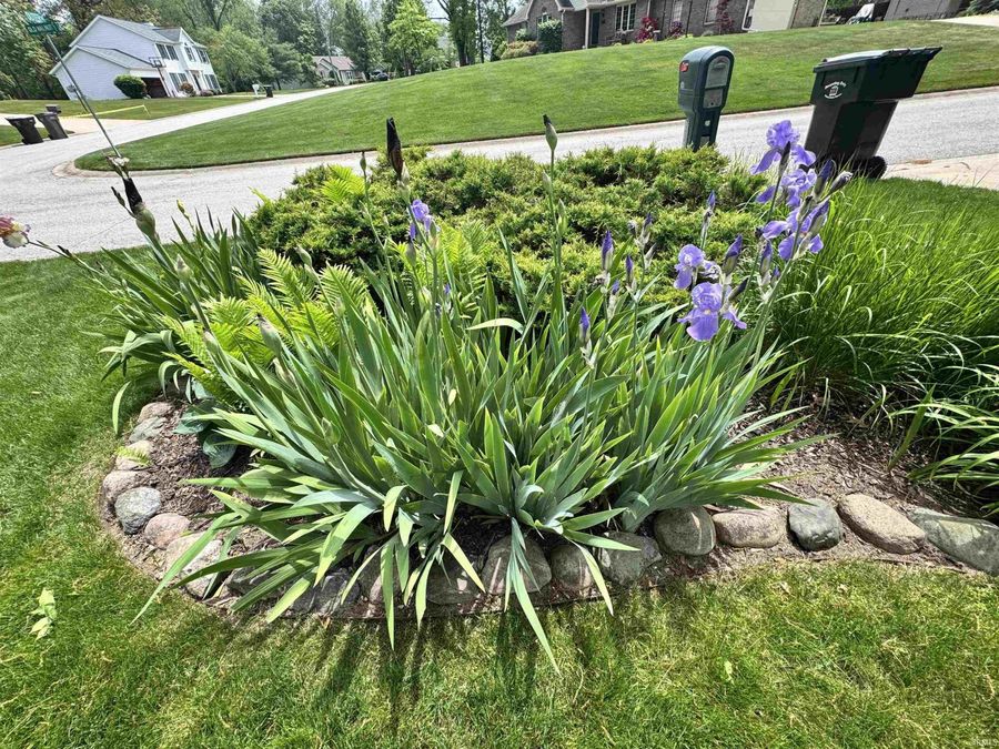 Property Image 48