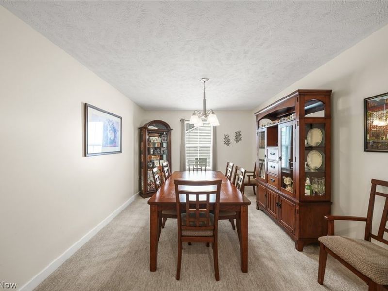 1519 Duncan Way, Streetsboro, OH 44241 Photo 9