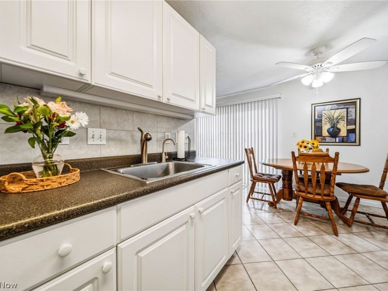 1408 Golden Gate Boulevard , Unit 203, Mayfield Heights, OH 44124 Photo 3