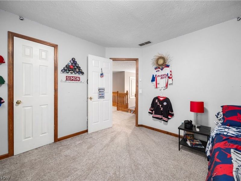 224 Sleepy Hollow Drive, Amherst, OH 44001 Photo 36