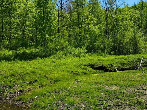 0 Blake Hill Road, Woodbury, VT 05681