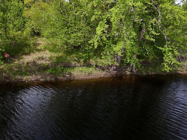 lot 6 Emery Farm Road , Medford, ME 04463