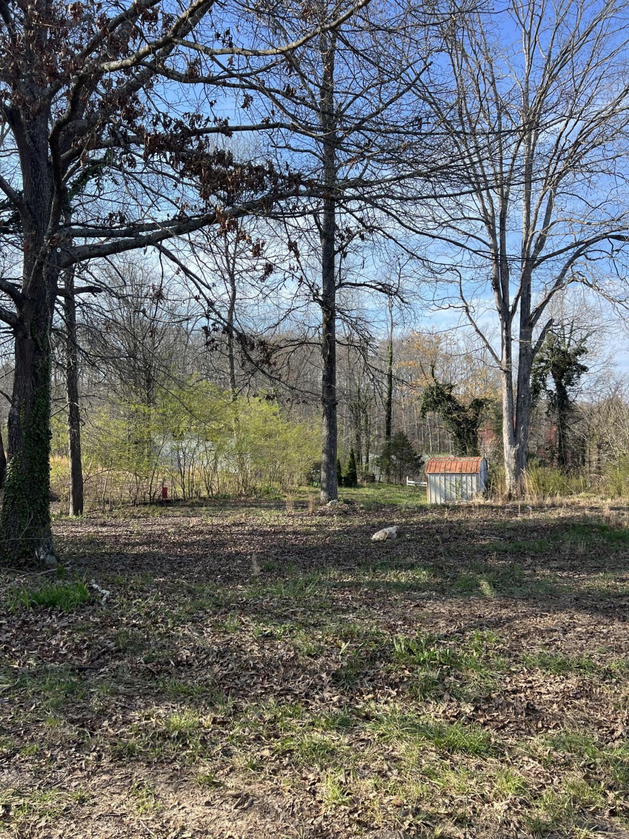 3 Hunter Drive , Lot #3, Cleveland, TN 37323 Main Photo