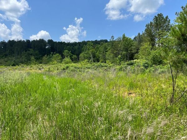 0 County Road 53 , Athens, TN 37303