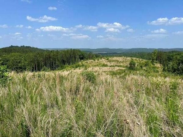 0 County Road , Athens, TN 37303
