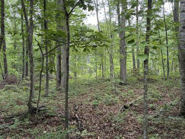 Lot 50 LAKE DR, CRIMORA, VA 24431