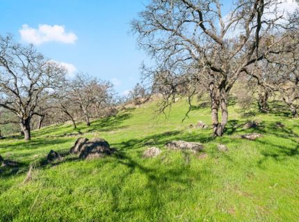 8251 Buffalo Ridge Rd, Ione, CA 95640 Photo
