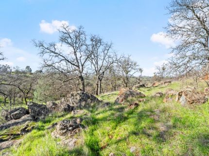 8251 Buffalo Ridge Rd, Ione, CA 95640 Photo