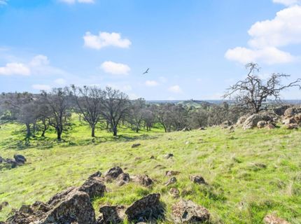 8251 Buffalo Ridge Rd, Ione, CA 95640 Photo
