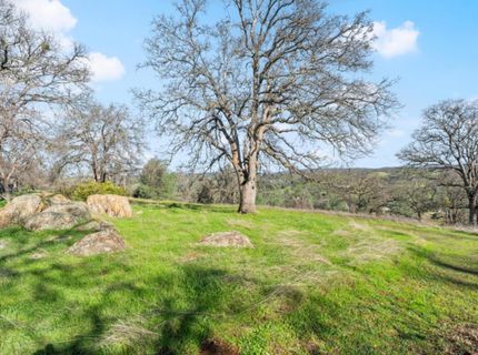 8251 Buffalo Ridge Rd, Ione, CA 95640 Photo