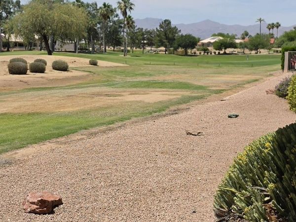 15123 W Ganado Drive, Sun City West, AZ 85375