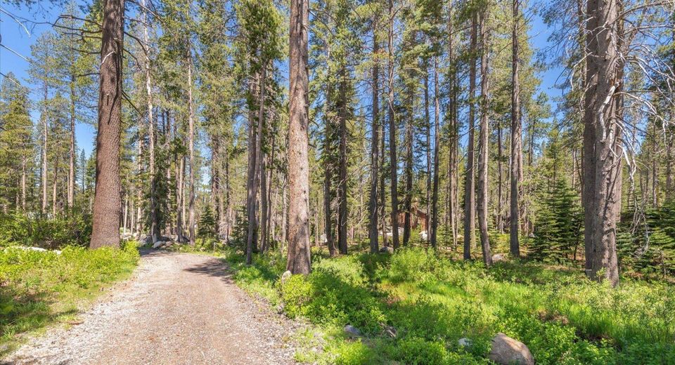 21898 Yuba Trail, Soda Springs, CA 95728 Photo