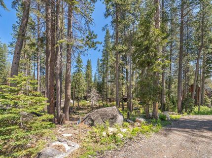 21898 Yuba Trail, Soda Springs, CA 95728 Photo