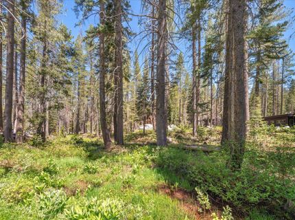 21898 Yuba Trail, Soda Springs, CA 95728 Photo
