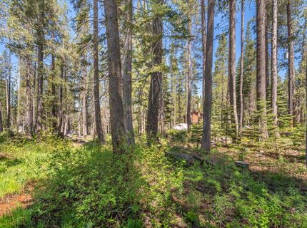 21898 Yuba Trail, Soda Springs, CA 95728 Photo