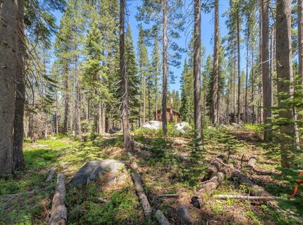 21898 Yuba Trail, Soda Springs, CA 95728 Photo