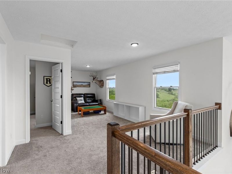 3984 County Road 15, Rayland, OH 43943 Photo 20