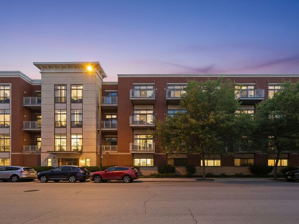 3505 S Morgan Street , Unit 320, Chicago, IL 60609