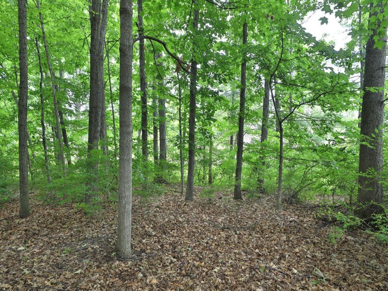 668 Eagle Ridge , Powell, OH 43065 Photo 66