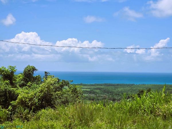 Solar C CARR 9984, Unit Solar C, Luquillo, PR 00773