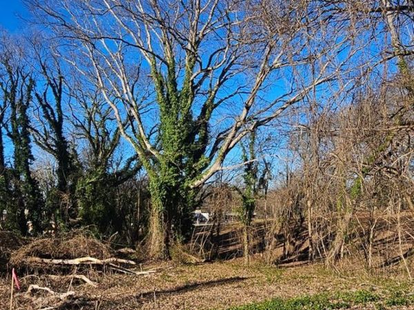 728 3rd Street Place SW, Hickory, NC 28602