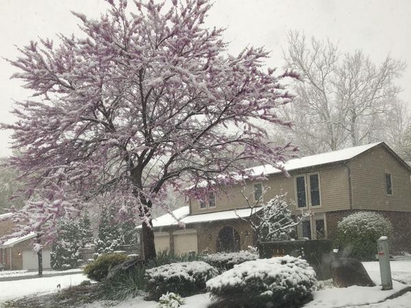 705 Venetian Way, Kokomo, IN 46901