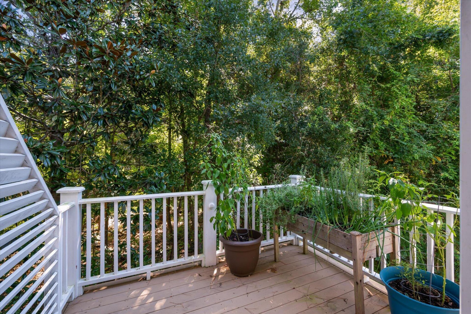 1420 Widows Court Photo 36