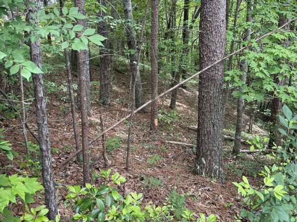 0 HINTERSTRATEN WEG, Unit LOT 116, Helen, GA 30545
