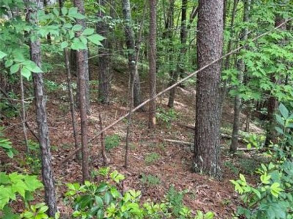 0 HINTERSTRATEN WEG , Helen, GA 30545