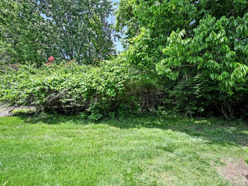 5366 Hickory Trail Lane, Cincinnati, OH 45242 Photo 47