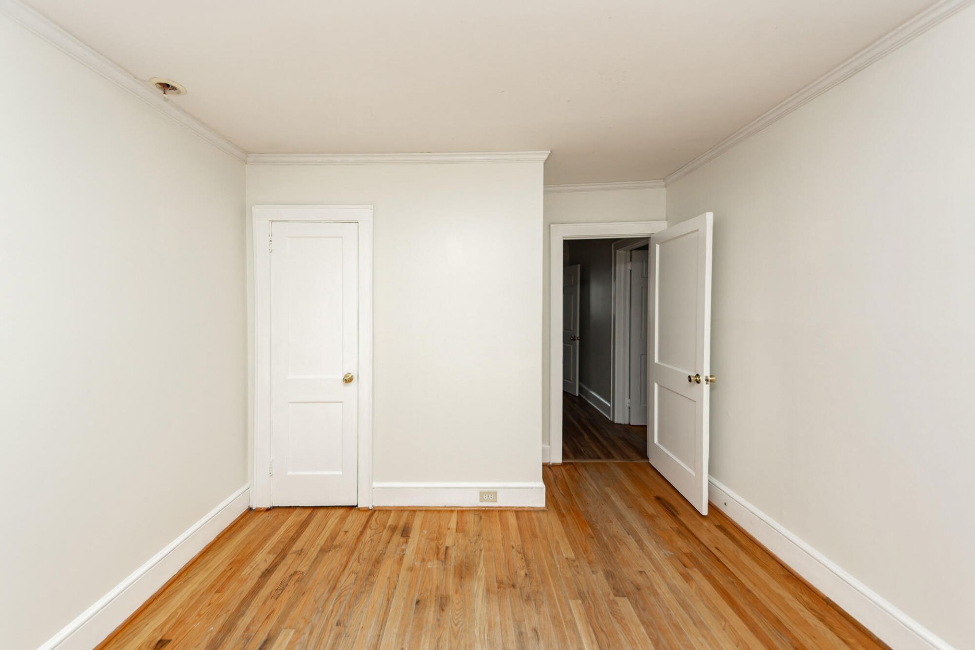 229 Bay Blossom Lane Photo 38