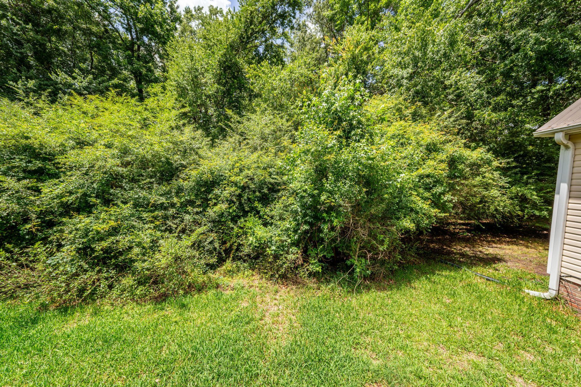 229 Bay Blossom Lane Photo 57