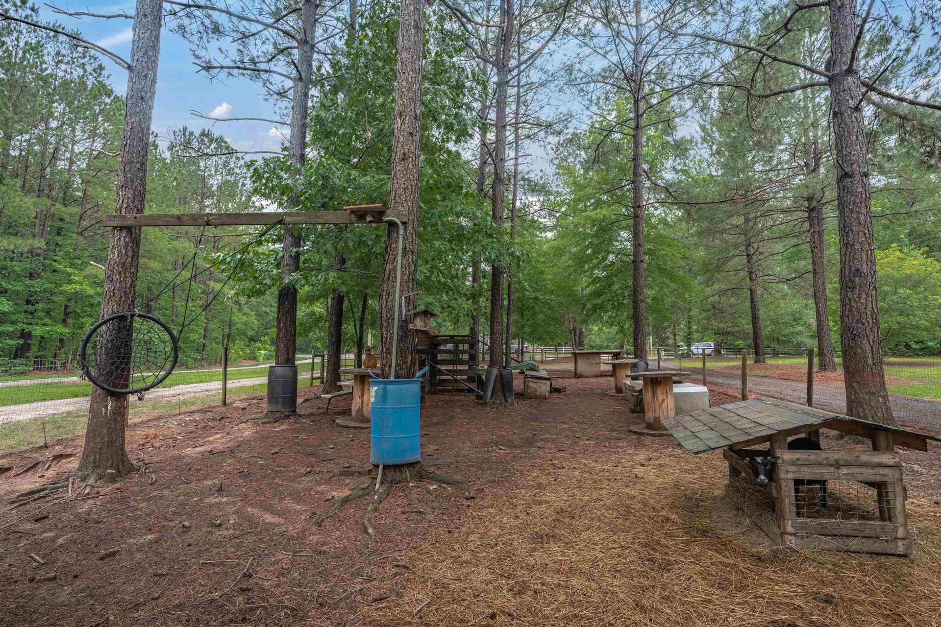 565 Portia Rd Photo 37
