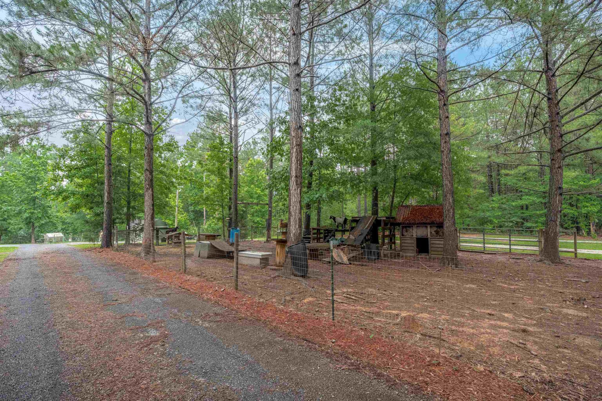 565 Portia Rd Photo 42